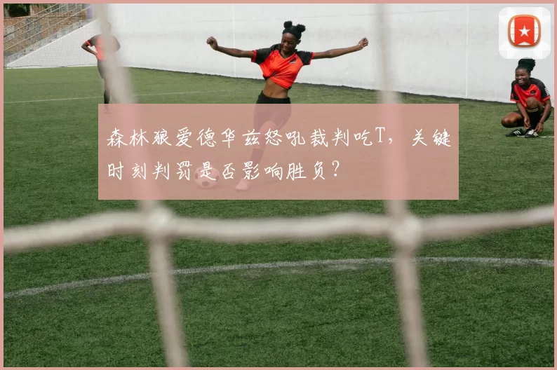 森林狼爱德华兹怒吼裁判吃T，关键时刻判罚是否影响胜负？
