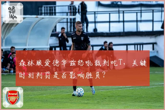 森林狼爱德华兹怒吼裁判吃T，关键时刻判罚是否影响胜负？